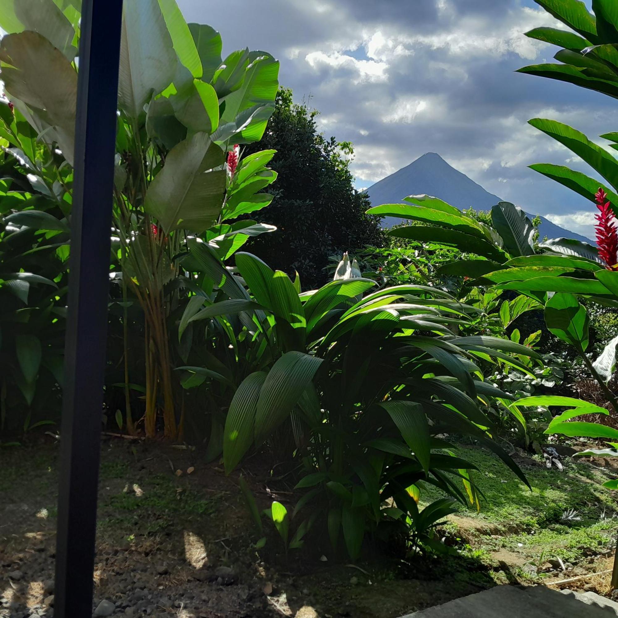 Cabana Rural Pura Vida La Fortuna Buitenkant foto